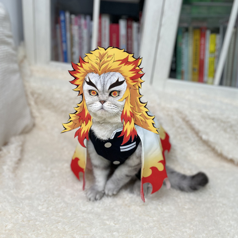Demon Slayer Pet Cosplay Rengo - Cosplay Flame Prop recension och pris
