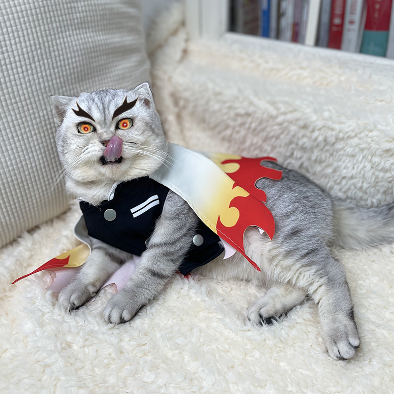 Demon Slayer Pet Cosplay Rengo - Cosplay Flame Prop recension och pris