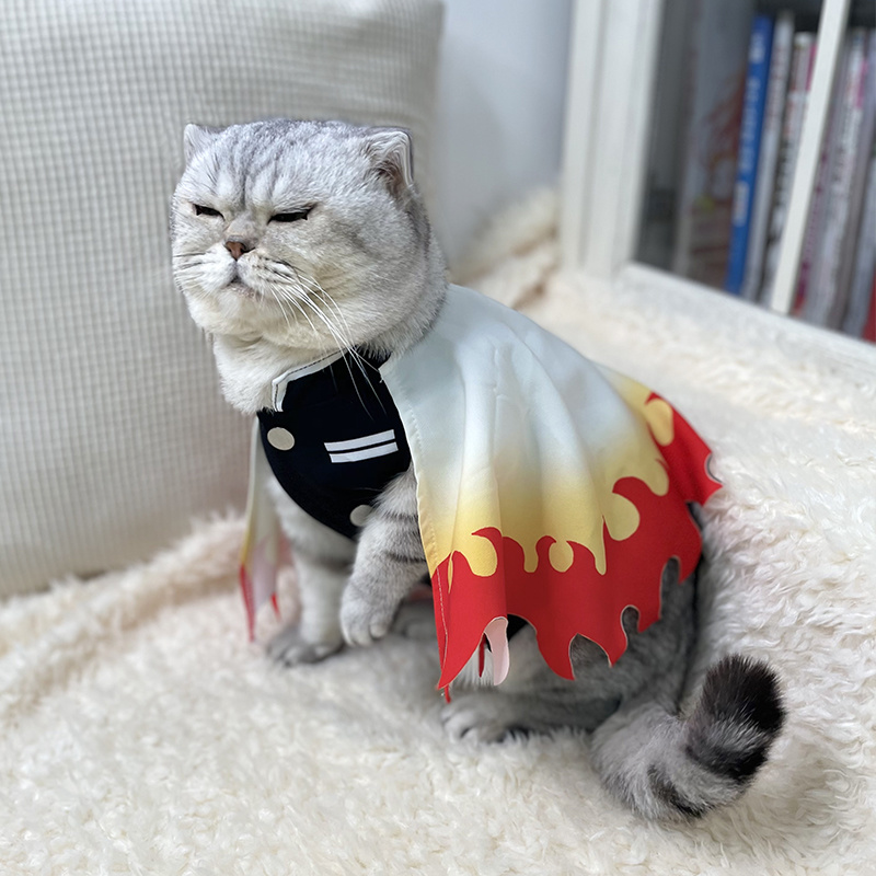 Demon Slayer Pet Cosplay Rengo - Cosplay Flame Prop recension och pris