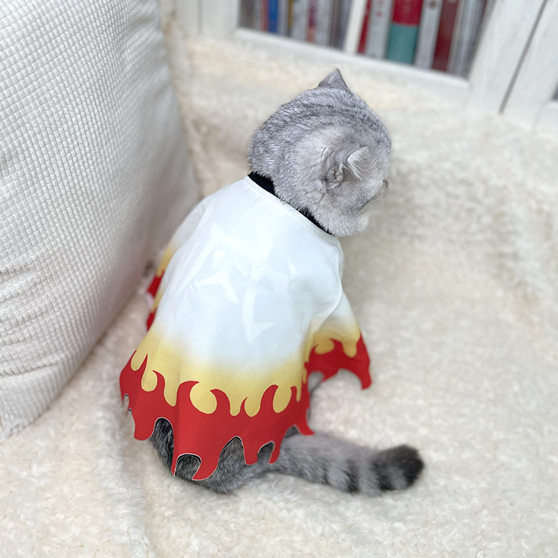Demon Slayer Pet Cosplay Rengo - Cosplay Flame Prop recension och pris